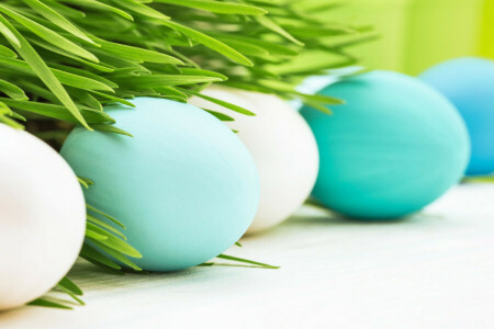 decoration, Easter, eggs, flowers, grass, happy, spring