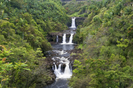 kaskad, skog, Hawaii, flod, vattenfall