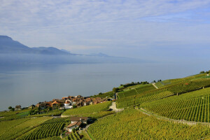 des nuages, champ, Accueil, Lac, montagnes, mer, pente, Le ciel