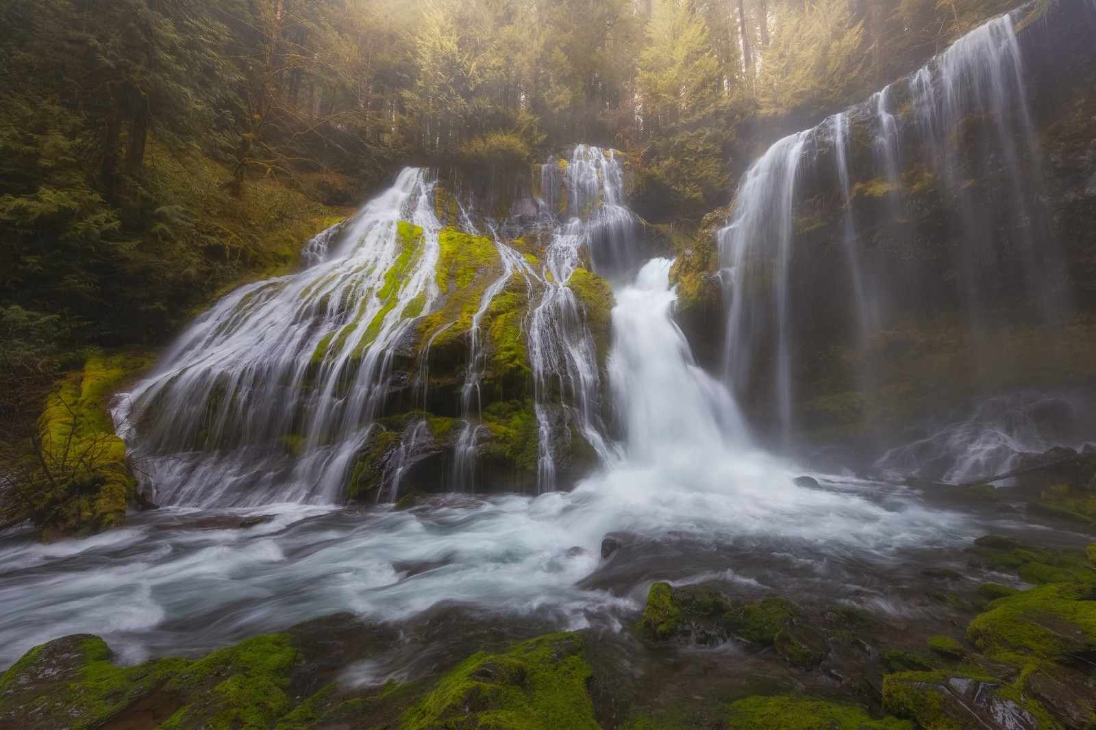 foresta, cascata, Washington, cascata, Panther Creek Falls, Skamania, Contea di Skamania