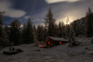 Alpes, forêt, maison, montagnes, neige, Suisse, la neige, des arbres