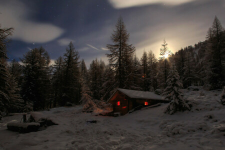 Alps, skog, hus, bergen, snö, schweiz, snön, träd