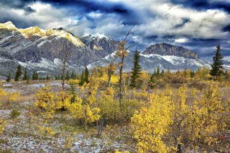 осень, облака, пейзаж, горы, снег, кусты, небо, деревья