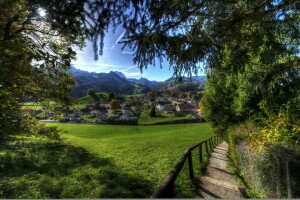 branches, field, forest, grass, greens, Gruyères, home, mountains