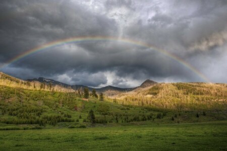 forest, mountains, nature, photo, rainbow, summer, the sky