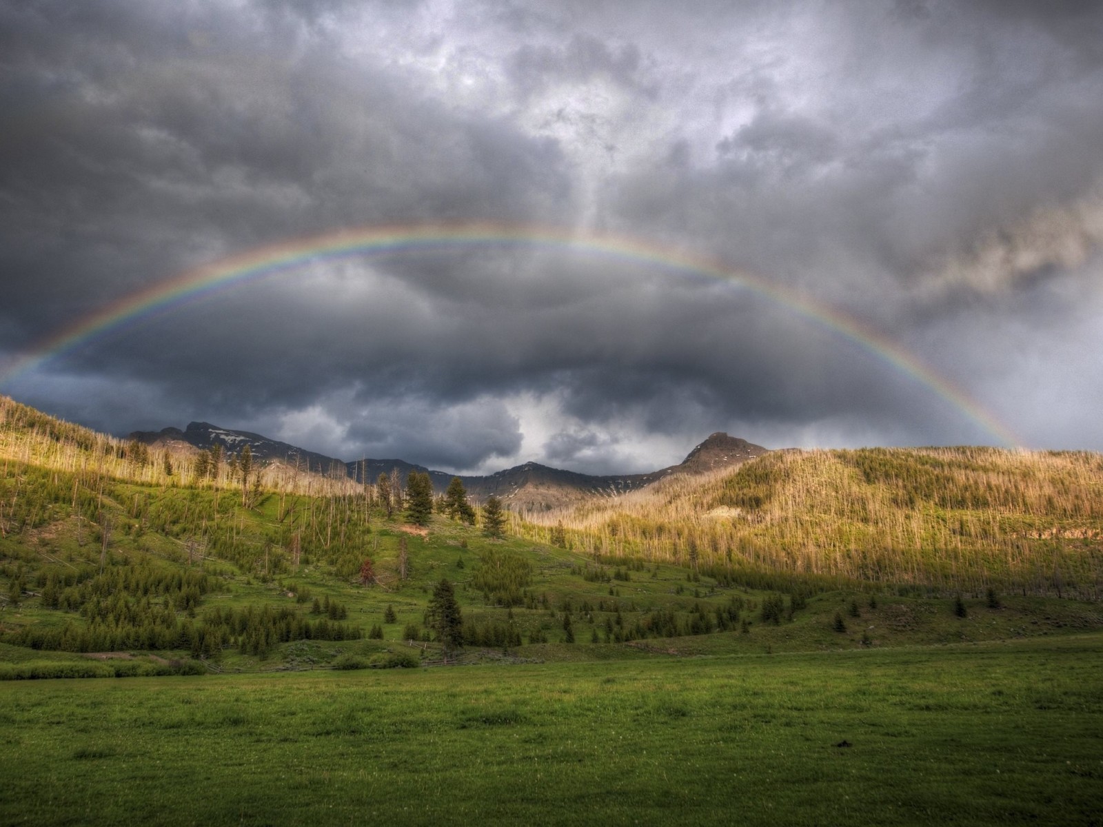 bosque, naturaleza, el cielo, verano, montañas, foto, arco iris