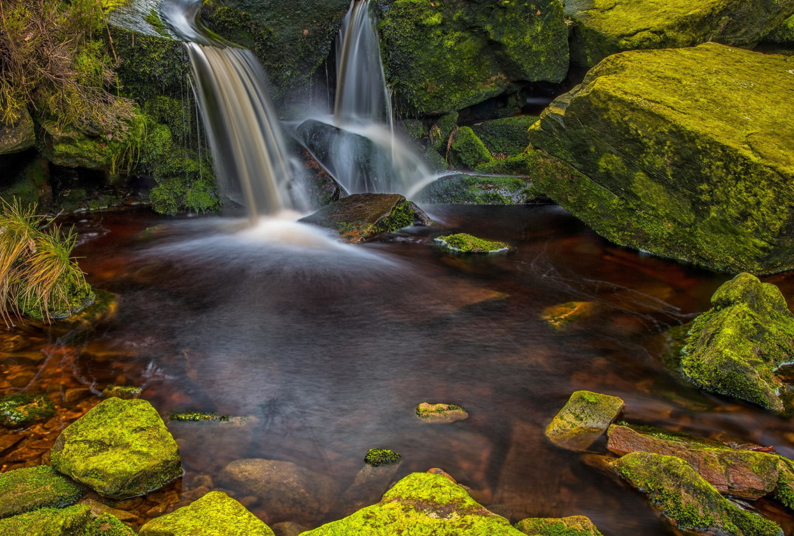 forest, nature, stones, waterfall, water, moss