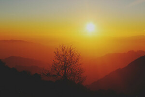 horizon, lever du soleil, Le ciel, le soleil, arbre