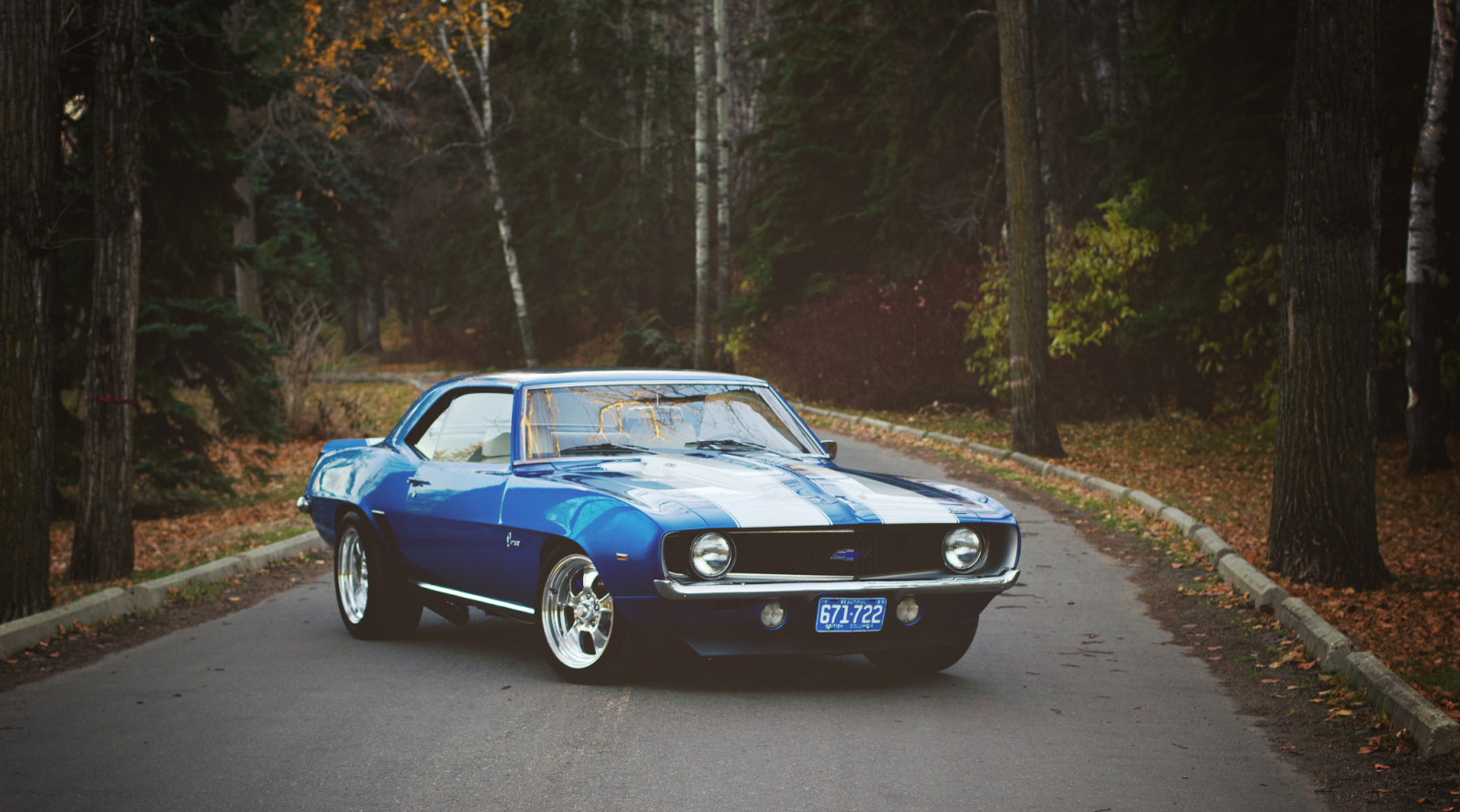 autumn, forest, road, lights, leaves, Front, wheel, Camaro