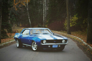 autumn, Camaro, forest, Front, leaves, lights, road, wheel