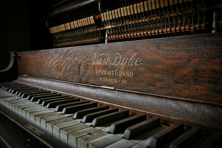 macro, Music, piano