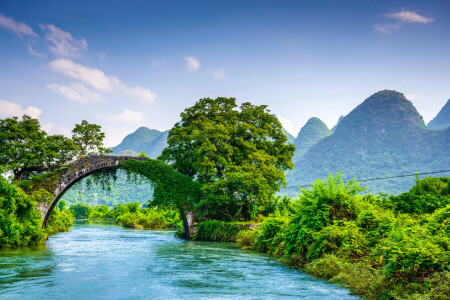 BEAUTY, Bridge, China, forest, greens, mountains, river, the bushes