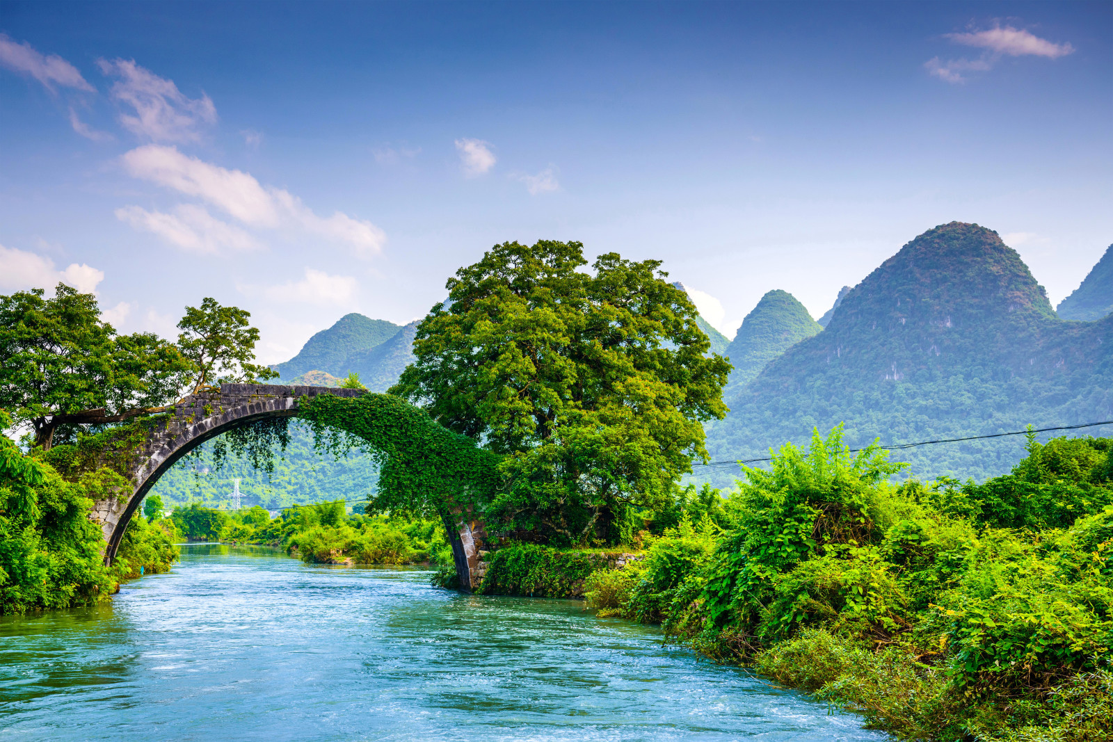 Wald, Fluss, SCHÖNHEIT, Bäume, Grüns, Berge, Brücke, die Büsche