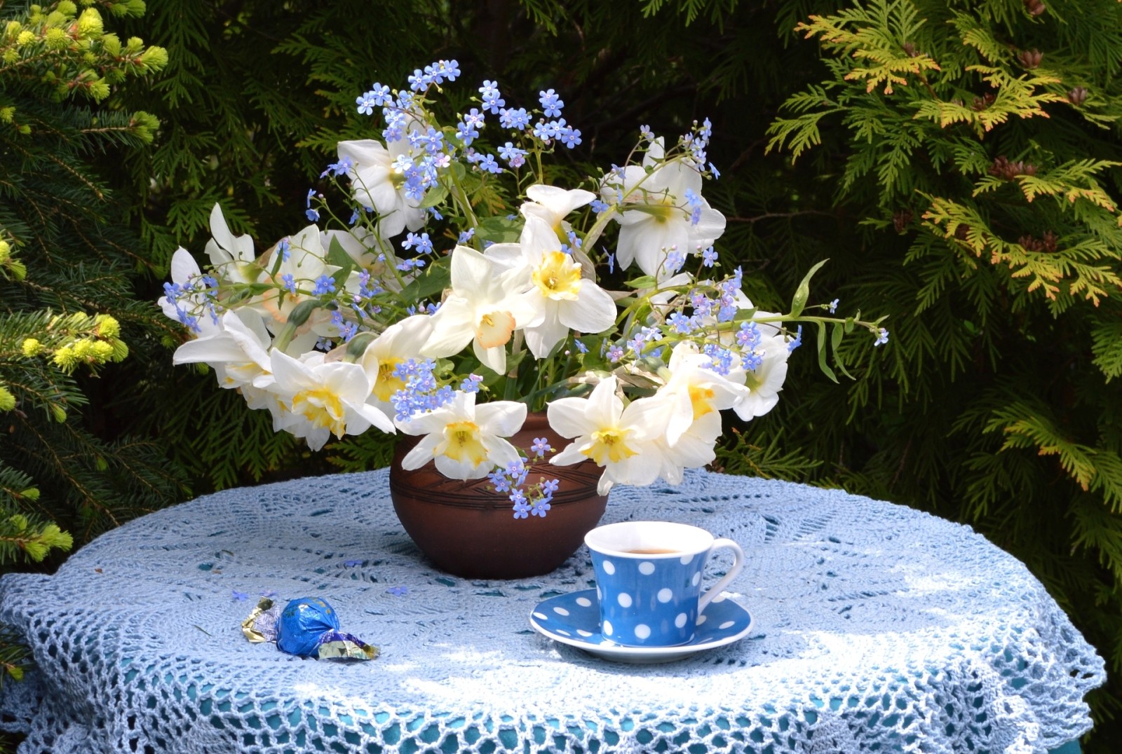 bouquet, candy, Cup, tea, Narcissus, forget-me-not