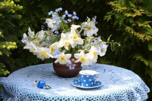 bouquet, candy, Cup, forget-me-not, Narcissus, tea