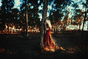 ramas, fuego, niña, pelo, hojas, vestido rojo, el sol, arboles