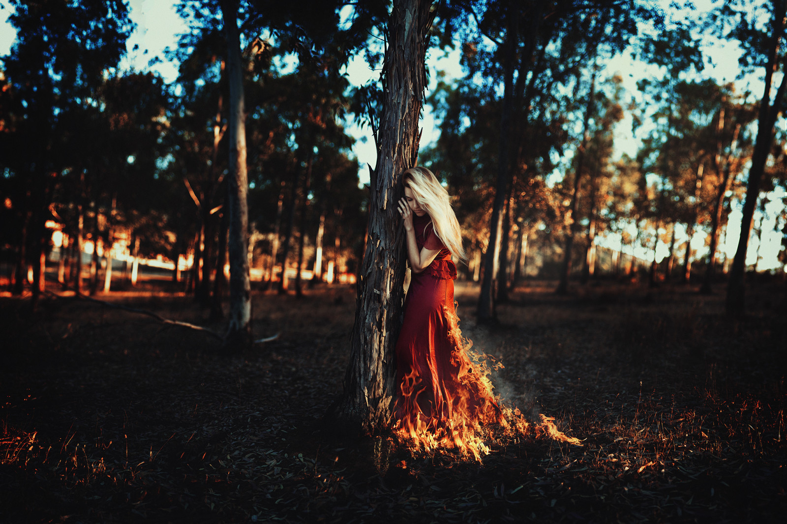 ramas, niña, arboles, hojas, pelo, fuego, el sol, vestido rojo