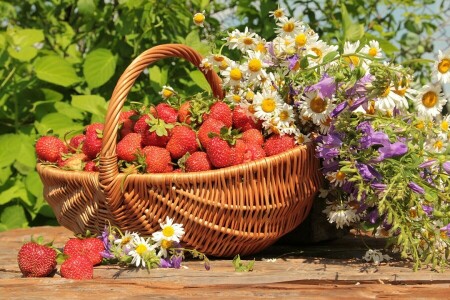 panier, cloches, baie, camomille, fleurs, légumes verts, fraise, été