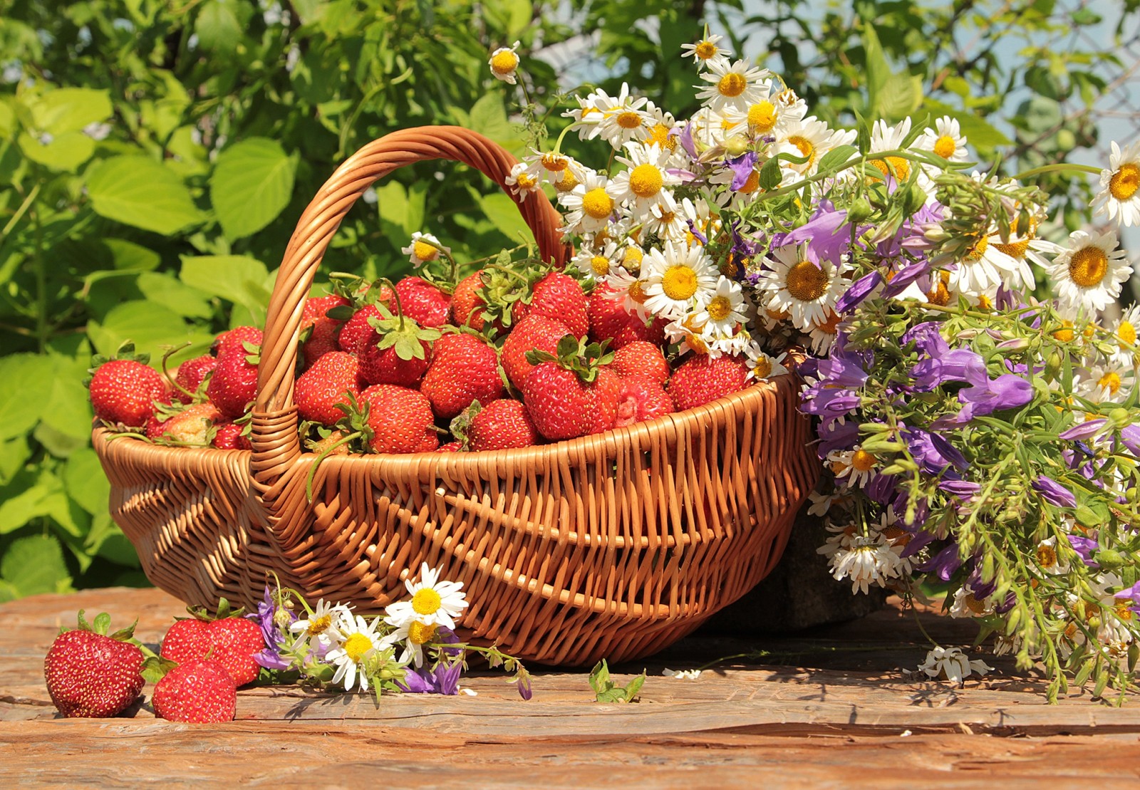 été, légumes verts, fleurs, cloches, le soleil, fraise, camomille, panier