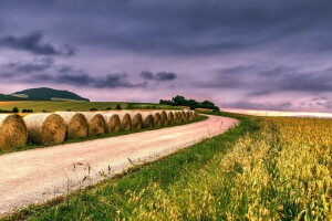 field, hay, road