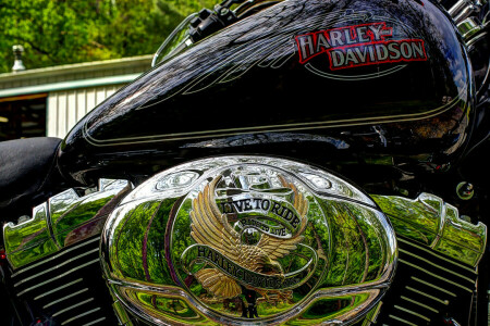 cromo, Cilindros, Harley, Harley Davidson, HDR, viva para montar, tanque