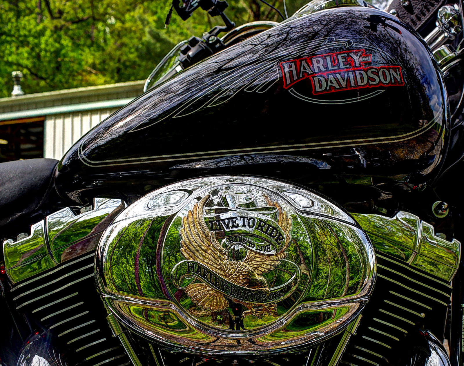 HDR, Panzer, Harley Davidson, Chrom, Harley, Zylinder, leben, um zu reiten