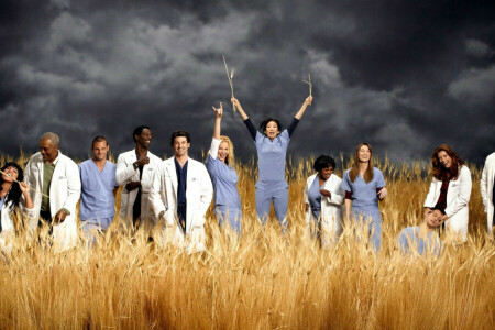 atores, Chandra Wilson, Ellen Pompeo, Eric Dane, Anatomia de Grey, Isaiah Washington, James Pickens Jr., Alegria