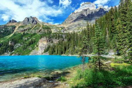 Canada, wolken, meer, bergen, rotsen, stenen, bomen, Yoho Nationaal Park