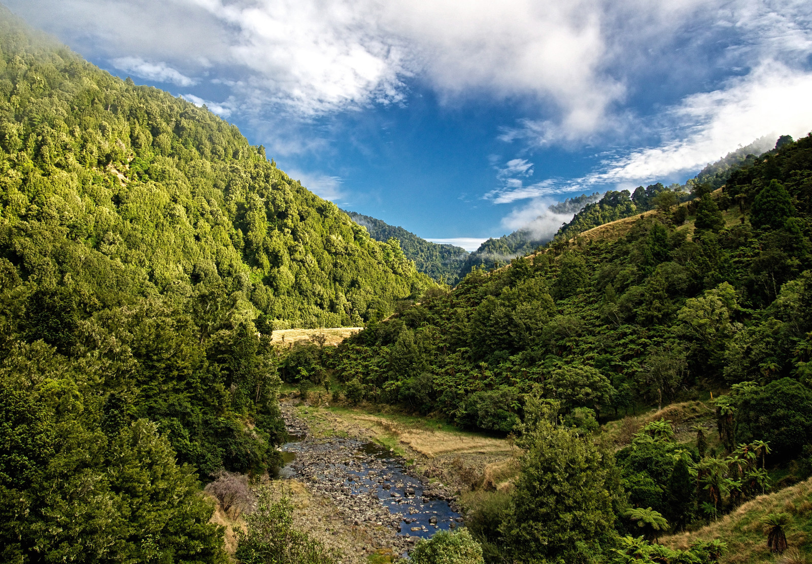 forest, the sky, stones, trees, clouds, mountains, stream, New Zealand