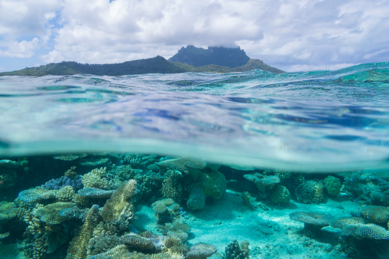 mer, coraux, L'océan Pacifique, Bora Bora, Polynésie française, Îles sous le vent