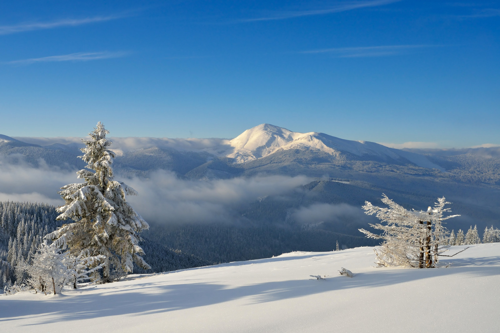 neige, forêt, Le ciel, hiver, des arbres, montagnes, le soleil