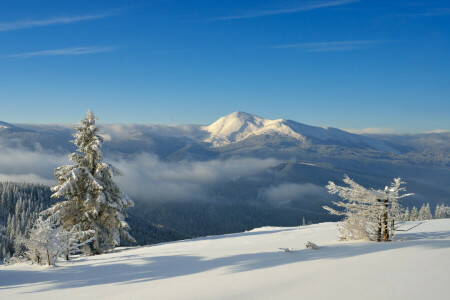 foresta, montagne, neve, il cielo, il Sole, alberi, inverno