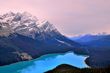 forest, mountains, nature, river, snow, top