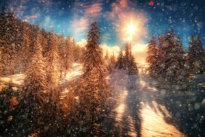 Fire and Ice, forest, snow, the sun, treatment, trees