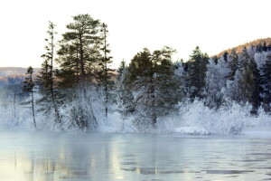 lago, panorama, inverno