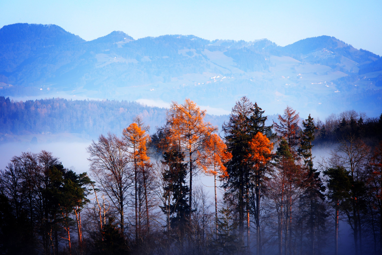 Herbst, Wald, Bäume, Berge, Nebel