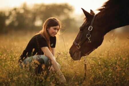 fält, flicka, häst