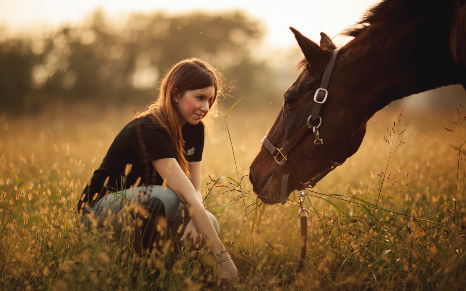 meisje, paard, veld-