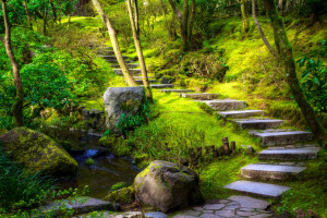 grass, greens, moss, Oregon, Park, Portland, steps, stones