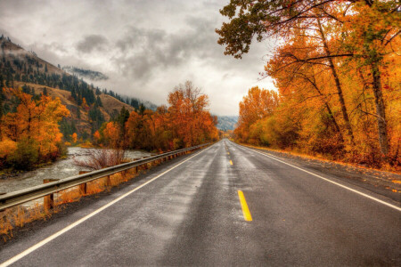 herfst, Berg, bergen, rivier-, weg, bomen