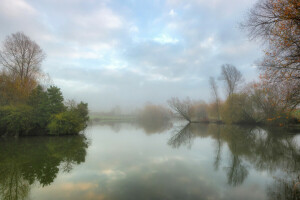 herfst, kalmte, mist, meer, ochtend-, vijver, stil