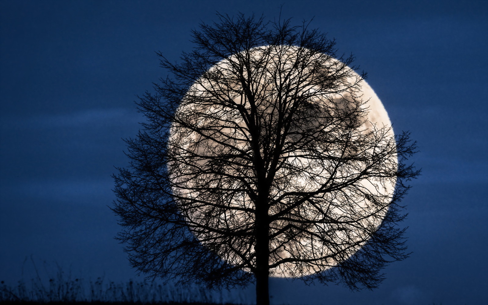 o céu, noite, A lua