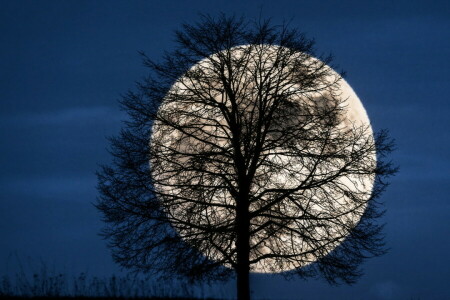 nuit, La lune, Le ciel