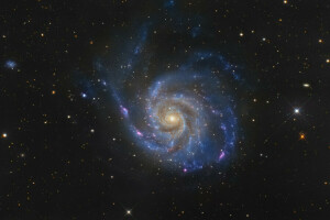 galaxie, dans la constellation, M101, fileur, la Grande Ourse