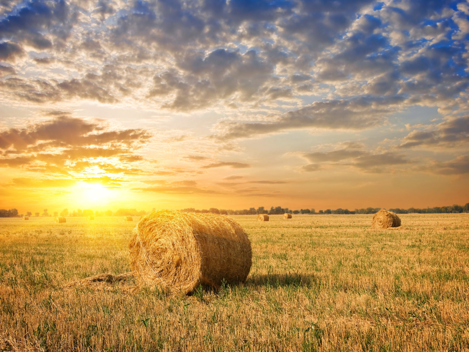 herbe, Le ciel, champ, des nuages, Aube, le soleil, foins, empiler