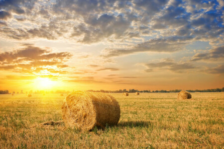 clouds, dawn, field, grass, hay, stack, the sky, the sun