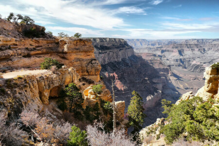 Arizona, canyon, skyer, Grand Canyon, bjerge, klipper, himlen, træer