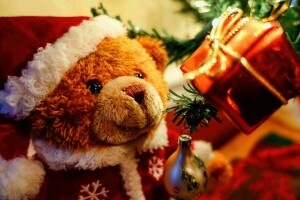 orso, Natale, vacanza, Nuovo anno, giocattoli, albero