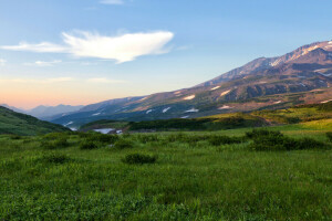 campo, erba, Kamchatka, montagne, Russia