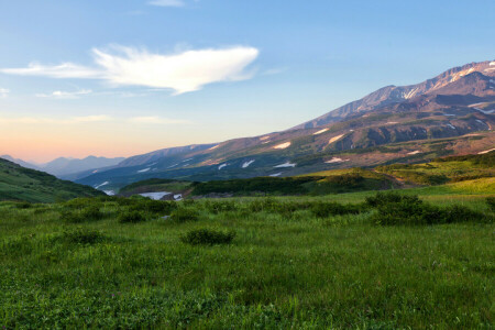 felt, gress, Kamchatka, fjellene, Russland